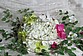 B062 - T - Tischschmuck weiße Hortensie mit Orchidee