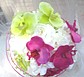B062 Biedermeier weiße Hortensien mit Orchideen